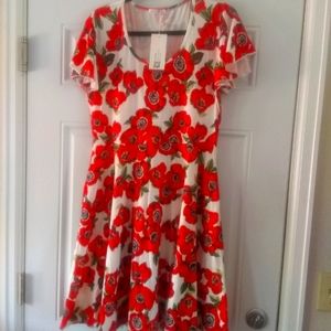 ACEVOG Short Sleeve Midi Dress Size Large Nwt